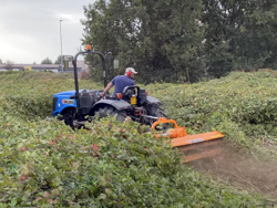 adjustable sideshift flail mower 160cm for 40 70hp tractors shredder mulcher leopard 160 sp
