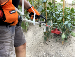 universal cutter for strimmer 4 blades