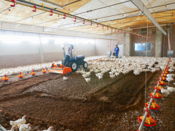 rotovator mélangeur de litière pour tracteur pavo 140