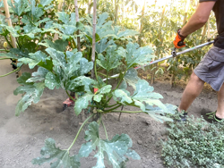 herse rotative pour debroussailleuse 4 lames