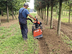 motoculteur reversible moteur kama