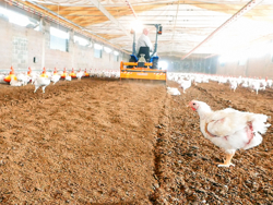 grondfrees voor het hakken en mengen van het strooisel van pluimveebedrijven en koeienstallen pavo 120