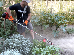 universele frees voor kantensnijder 4 messen