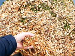 benzine hakselaar versnipperaar met motor mod. dk 800 honda