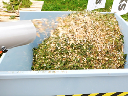 benzine hakselaar versnipperaar met lifan motor mod. dk 800 lf