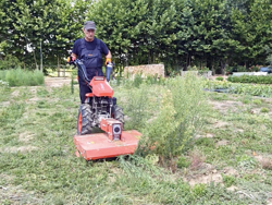 tweewiel tractor eenasser multimachine kama motor