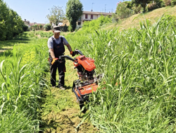 tweewiel tractor eenasser multimachine kama motor zeus ltr